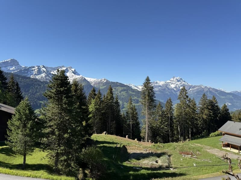 Chalet with panoramic views of the Alps - Mazots de Gryon (8)
