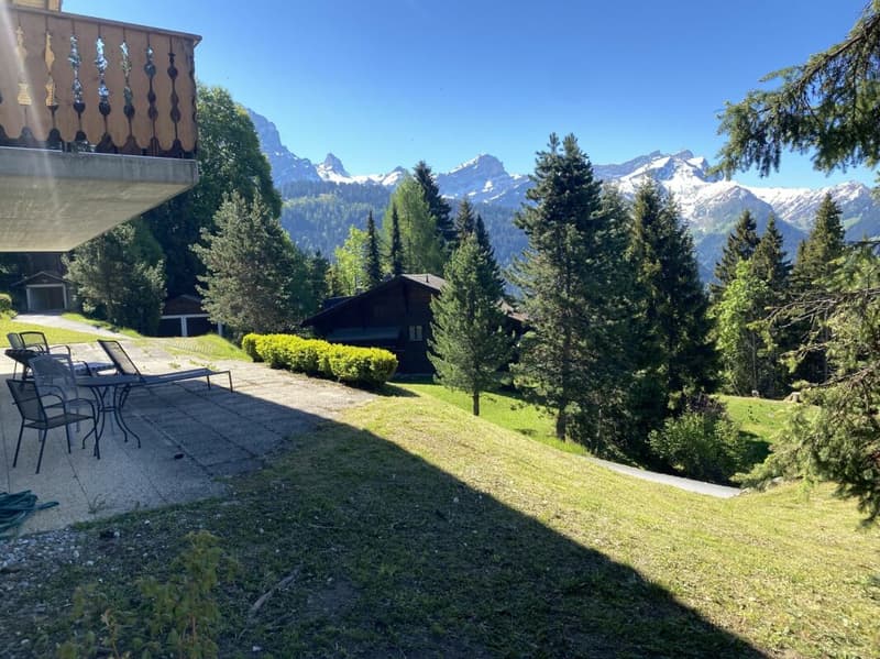 Chalet with panoramic views of the Alps - Mazots de Gryon (24)
