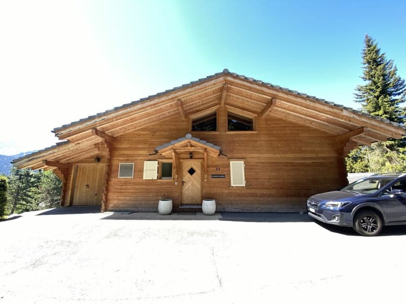 Chalet with panoramic views of the Alps - Mazots de Gryon (25)