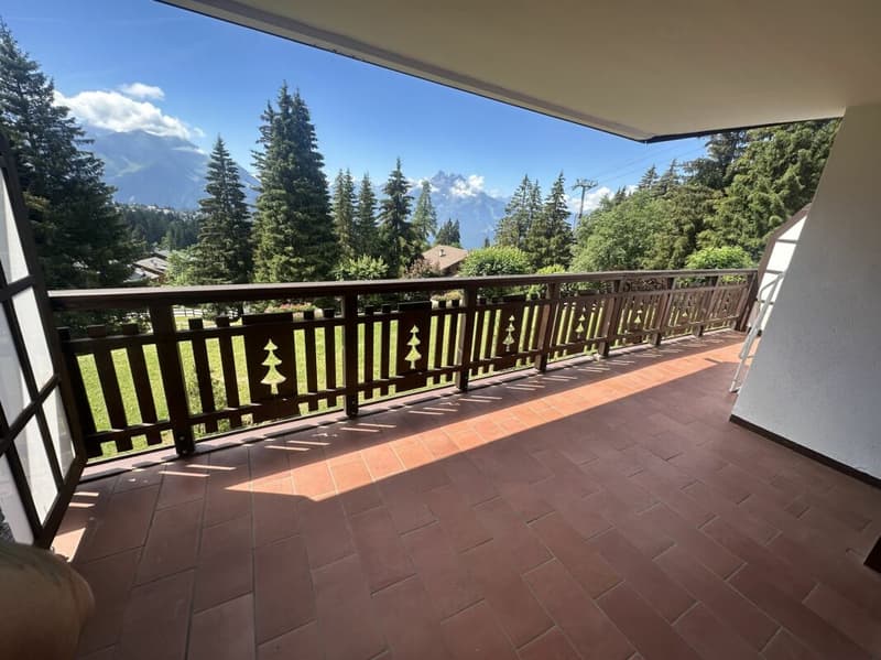Appartement 3.5 pièces à Chesières (9)