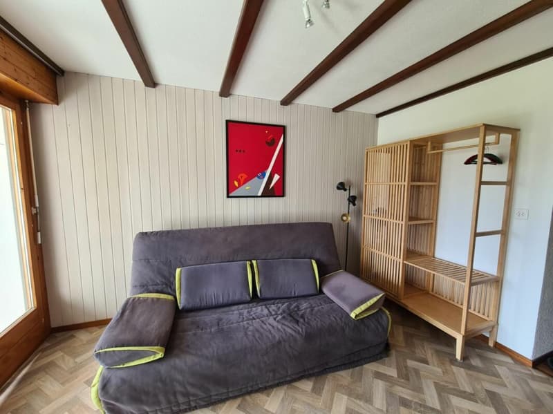 Appartement 1 pièce à Villars-sur-Ollon (3)
