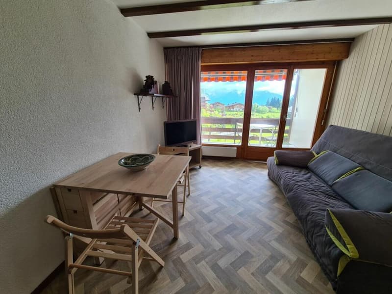 Appartement 1 pièce à Villars-sur-Ollon (6)