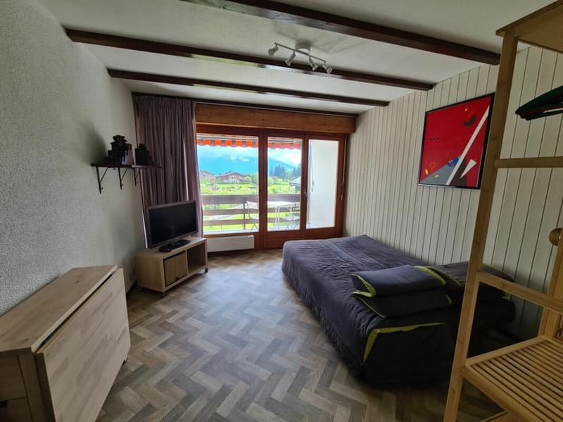 Appartement 1 pièce à Villars-sur-Ollon (5)