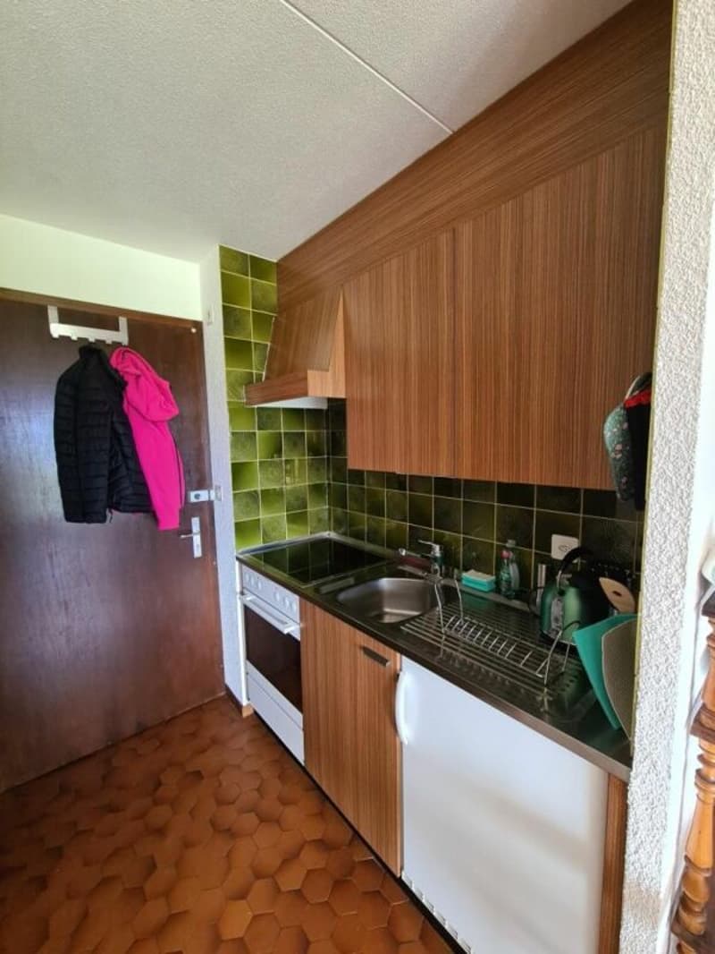 Appartement 1 pièce à Villars-sur-Ollon - à louer à la saison été (8)