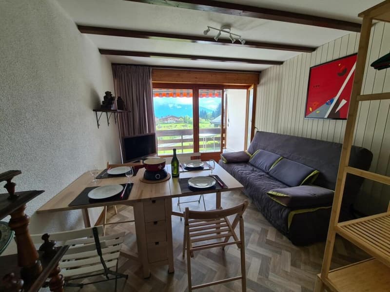 Appartement 1 pièce à Villars-sur-Ollon - à louer à la saison été (7)
