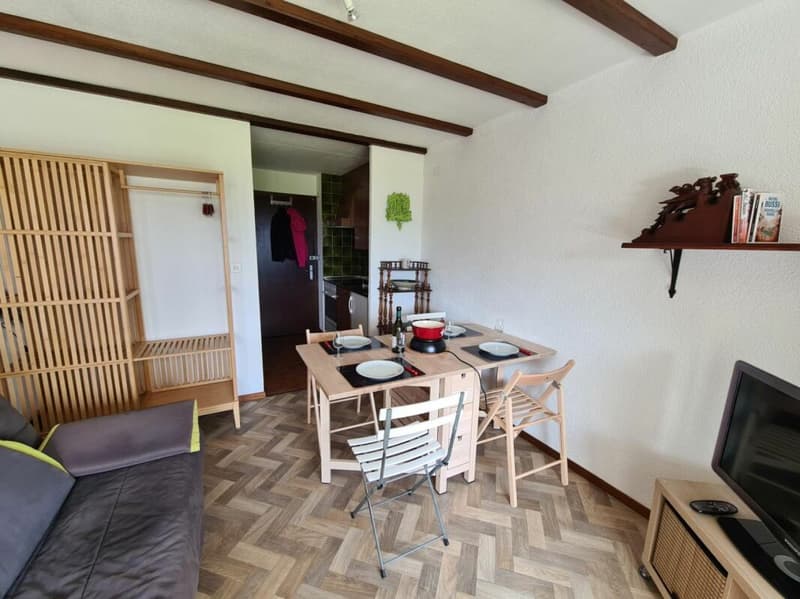 Appartement 1 pièce à Villars-sur-Ollon - à louer à la saison été (1)