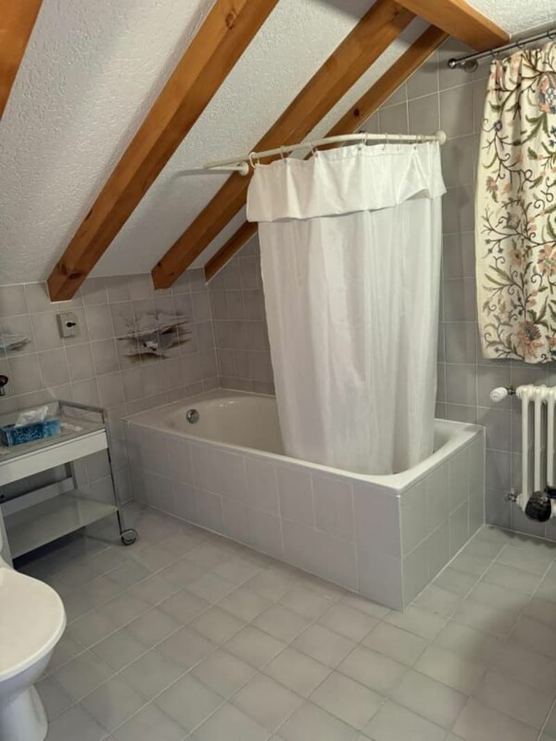 Appartement 2.5 pièces à Arveyes (5)
