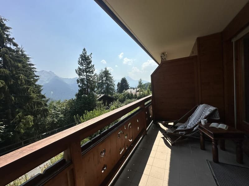 A deux pas du télécabine - appartement 2 pièces avec balcon (13)