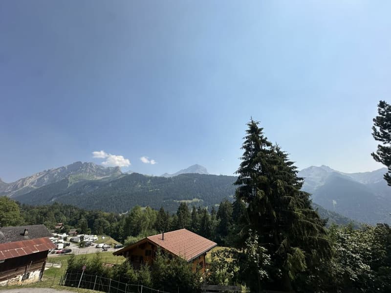 A deux pas du télécabine - appartement 2 pièces avec balcon (9)