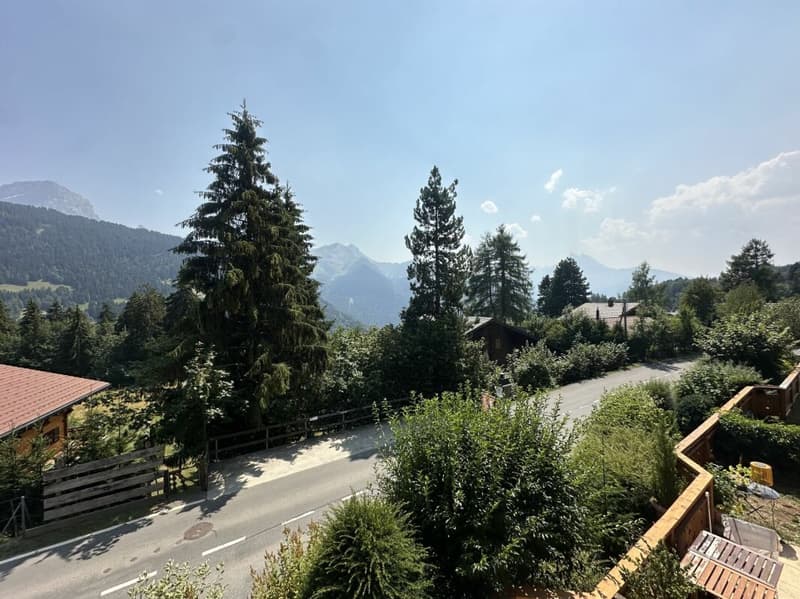 A deux pas du télécabine - appartement 2 pièces avec balcon (4)