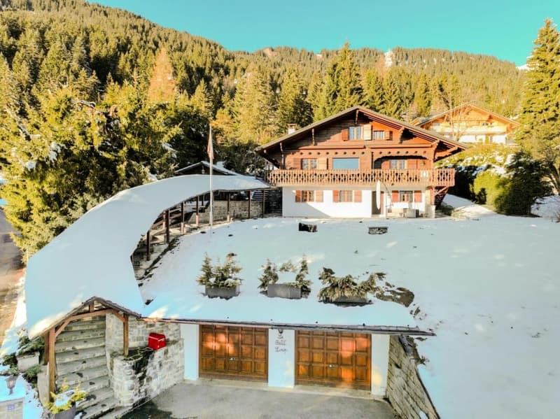 Chalet 8 pièces à Chesières (18)