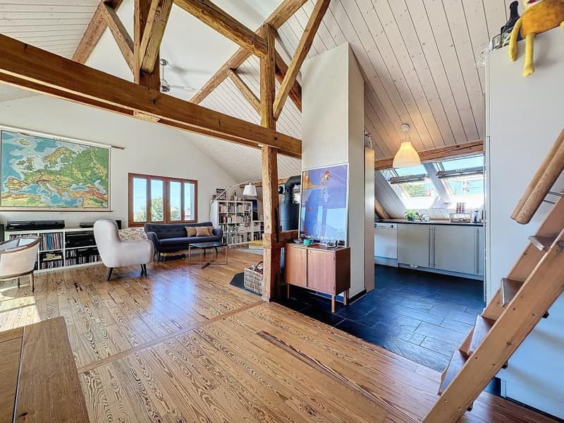 2,5 pces + Mezzanine, lumineux