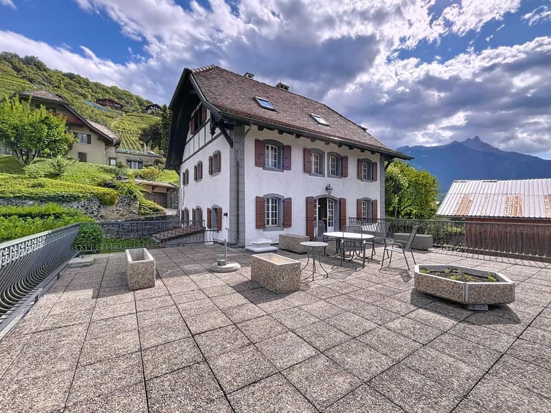 Appartement principal : Terrasse dallée