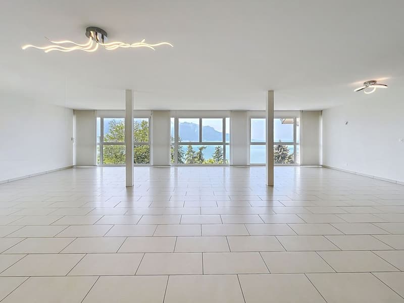 4,5 pces - 165 m2 avec vue extraodrinaire (4)