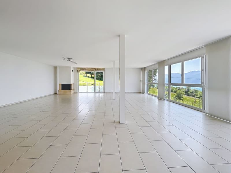 4,5 pces - 165 m2 avec vue extraodrinaire (3)