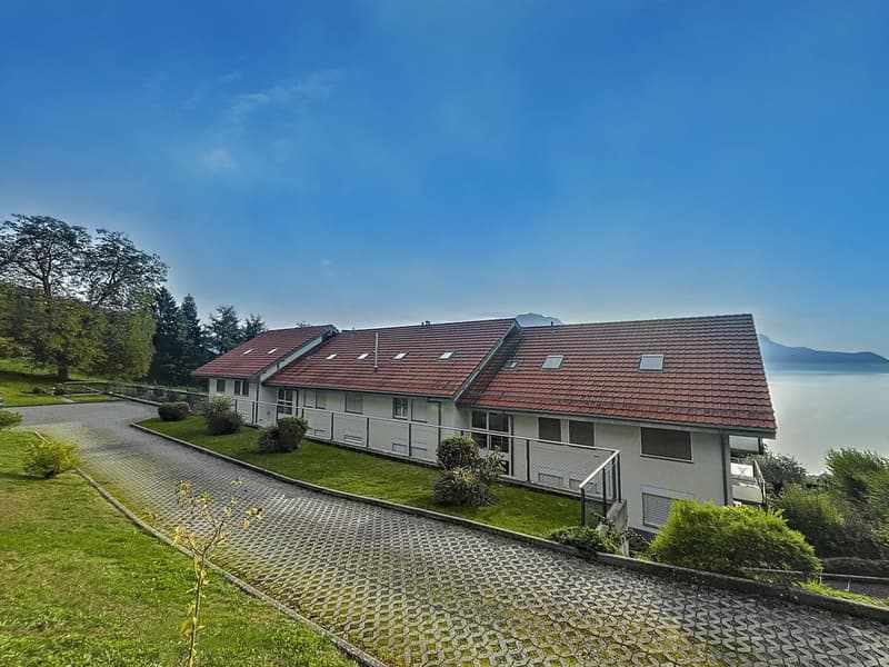 4,5 pces - 165 m2 avec vue extraodrinaire (9)