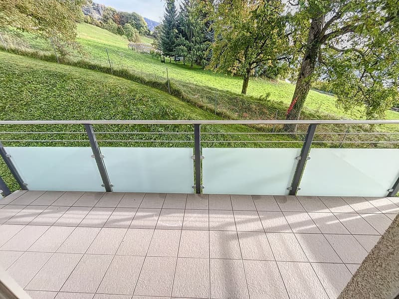 4,5 pces - 165 m2 avec vue extraodrinaire (6)