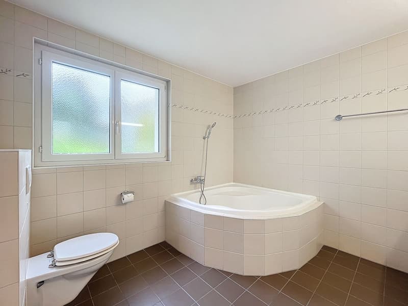 4,5 pces - 165 m2 avec vue extraodrinaire (8)