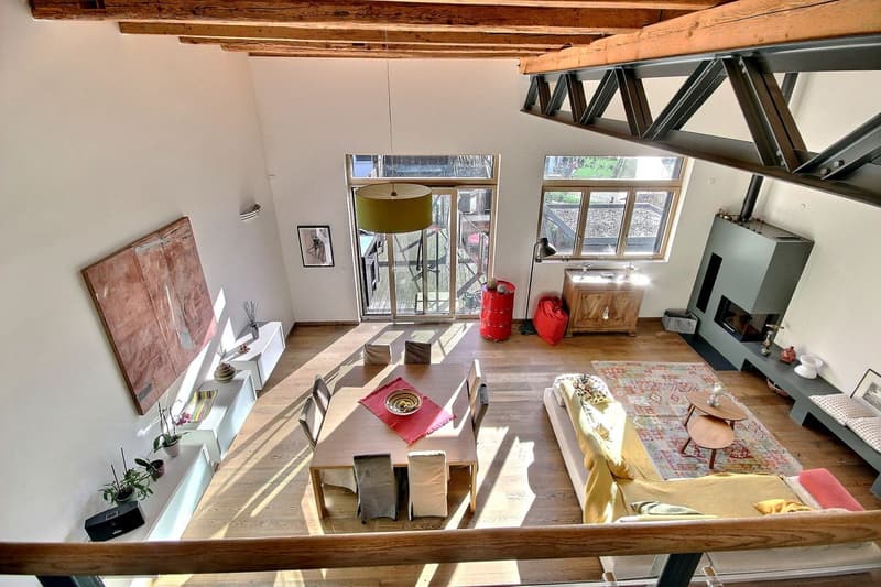 Splendide Triplex et terrasse surélevée de 55m2 (3)