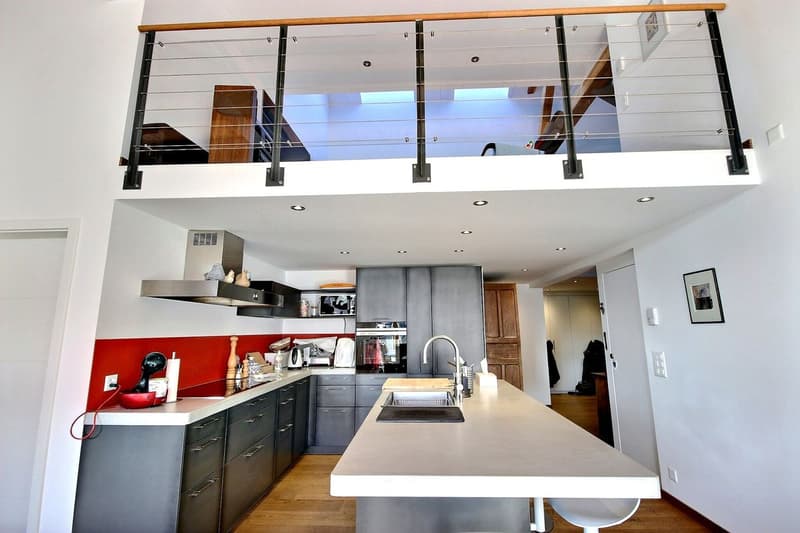 Splendide Triplex et terrasse surélevée de 55m2 (5)