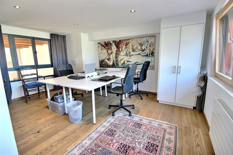 Splendide Triplex et terrasse surélevée de 55m2 (9)