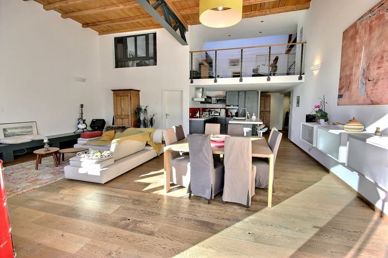 Splendide Triplex et terrasse surélevée de 55m2 (4)