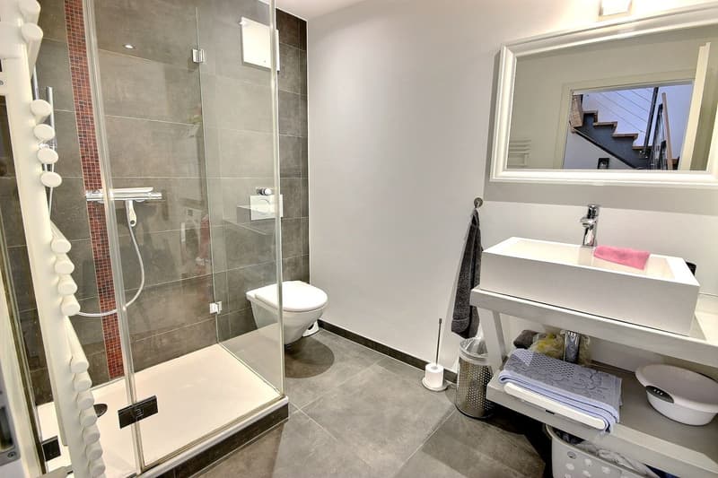 Splendide Triplex et terrasse surélevée de 55m2 (12)