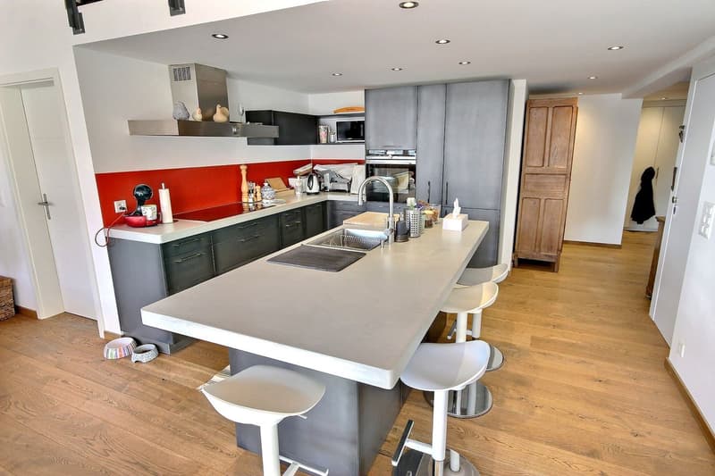 Splendide Triplex et terrasse surélevée de 55m2 (6)