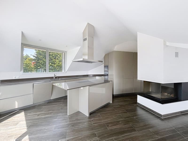 Attique de 4,5 pces + Bureau, jardin, terrasses (7)