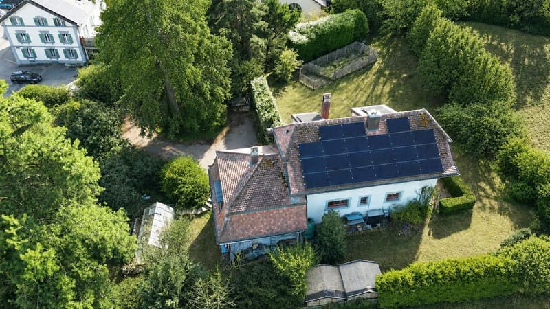 Grand jardin arboré, cadre bucolique (9)