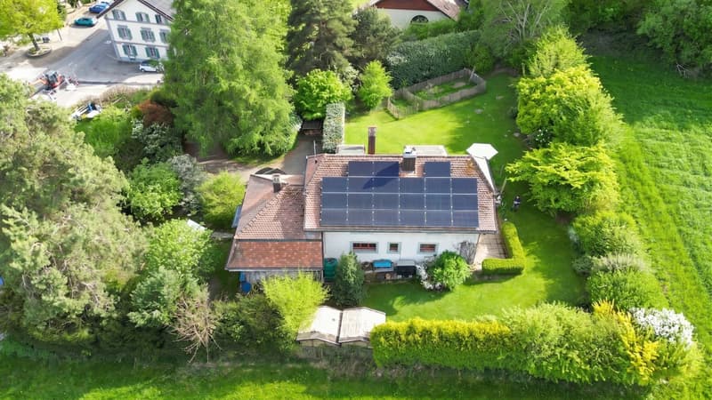 Grand jardin arboré, cadre bucolique (2)