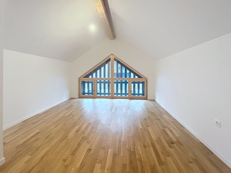 Duplex en attique de 4,5 pces (11)