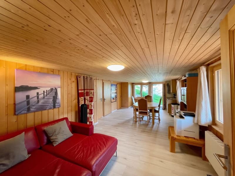 appartement du rez inférieur