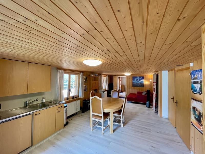 Appartement du rez inférieur