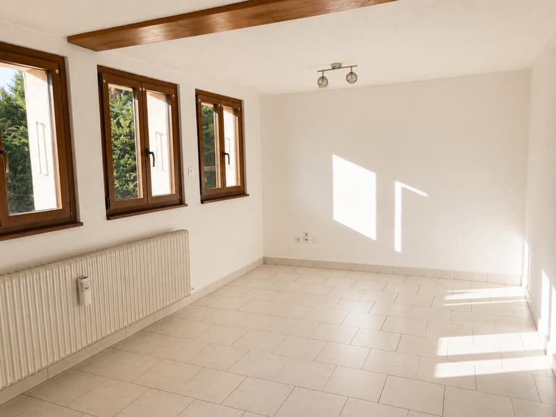 Charmant appartement en duplex de 4.5 pièces au rez-de-chaussée (2)