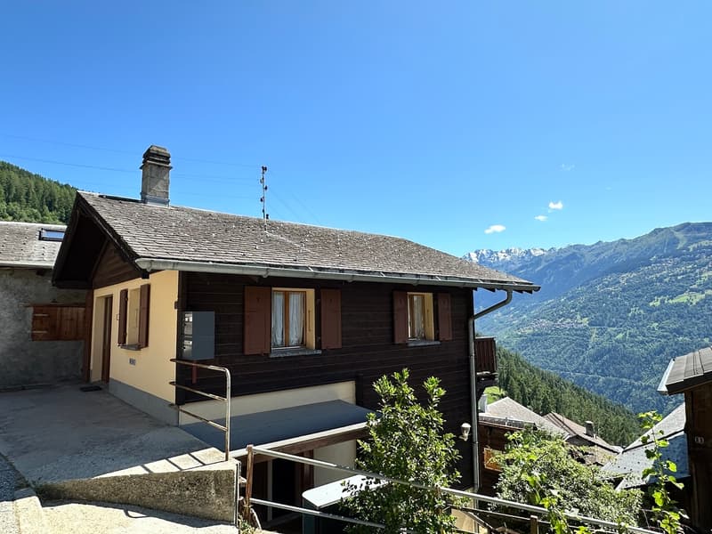 Charmant appartement en duplex de 4.5 pièces au rez-de-chaussée (12)
