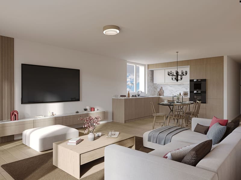 3,5 pces neuf - Centre ville (2)