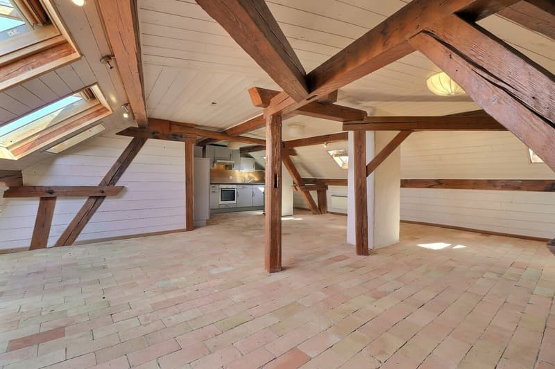 Loft de 95 m2 au centre de Montreux (2)