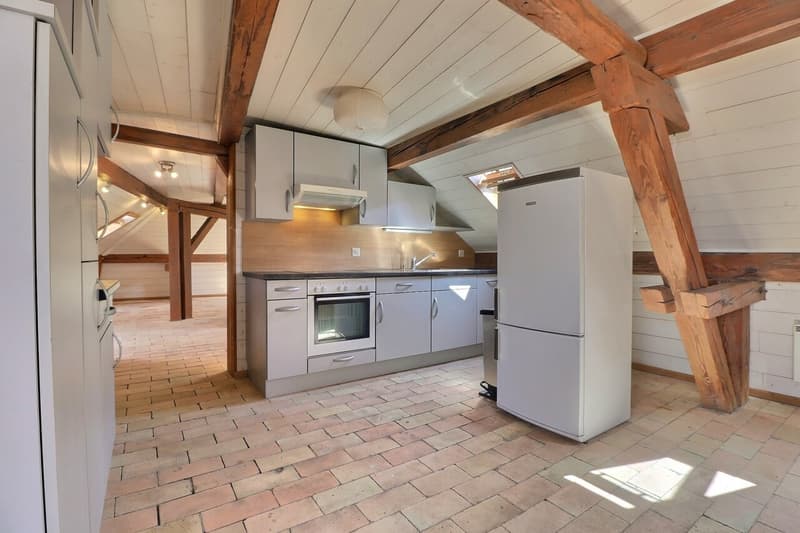 Loft de 95 m2 au centre de Montreux (3)