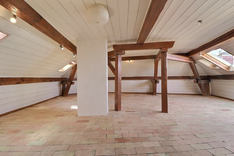 Loft de 95 m2 au centre de Montreux (5)
