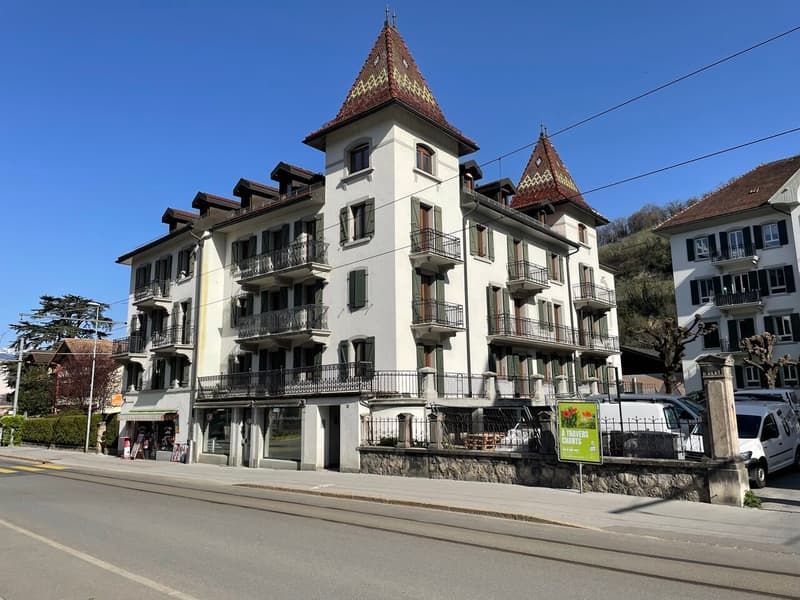 3,5 pces à 2 pas du centre ville (1)