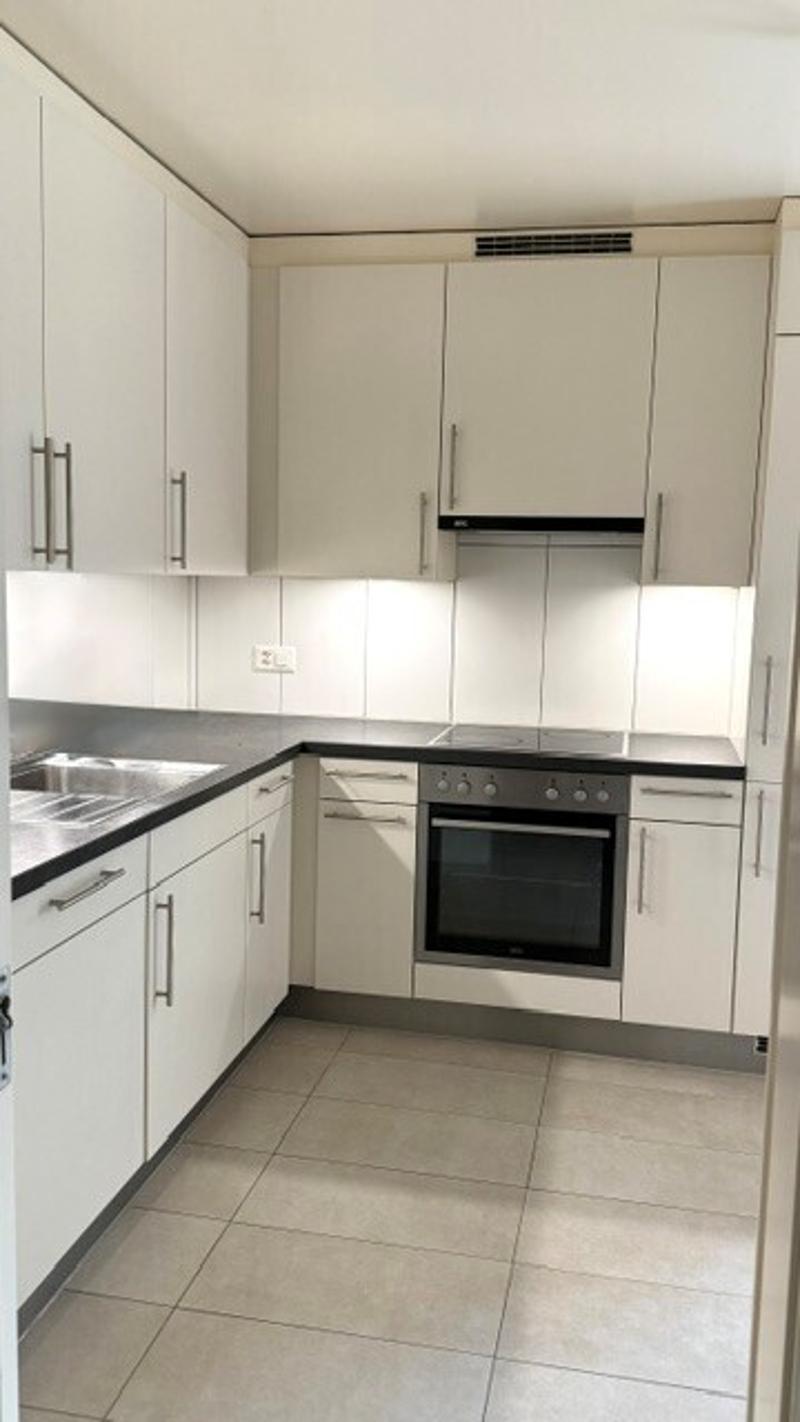 Appartement de 4.5 pièces d'env. 100 m2 au rez avec terrasse (4)