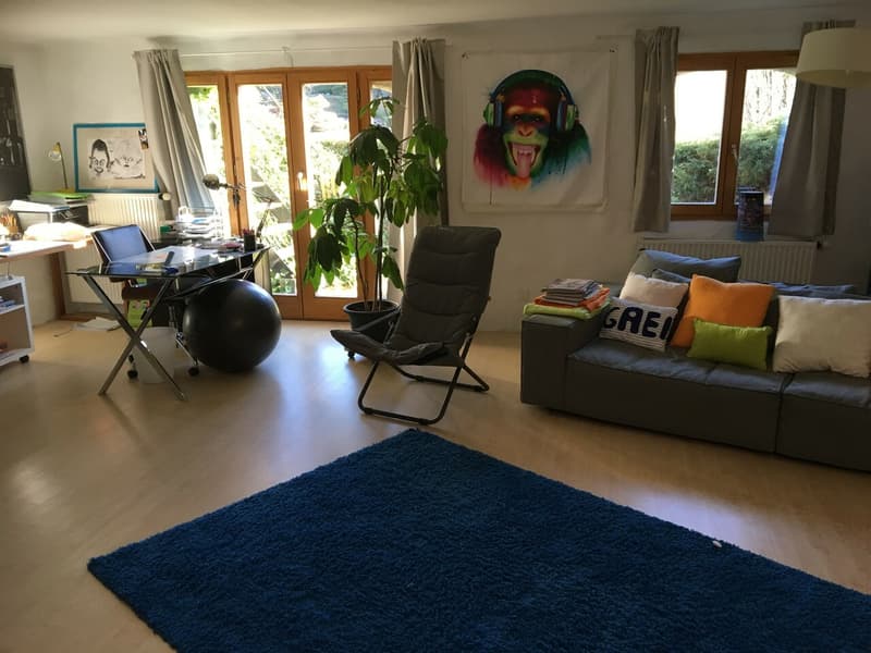 5.5 pièces en duplex avec terrasse à Jongny (4)
