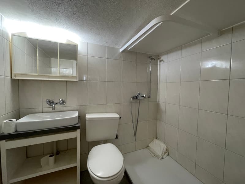 Appartement 2.5 pièces en duplex avec petite terrasse (4)