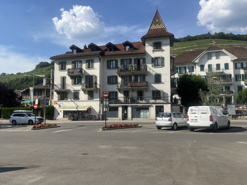 3.5 pces à 2 pas du centre ville (5)