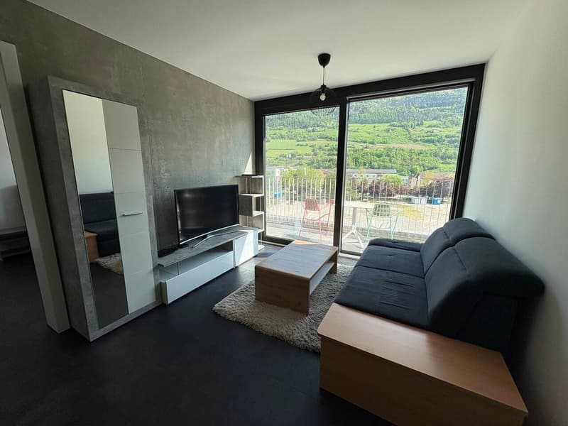 Appartement meublé de 3.5 pièces au 4ème étage (2)