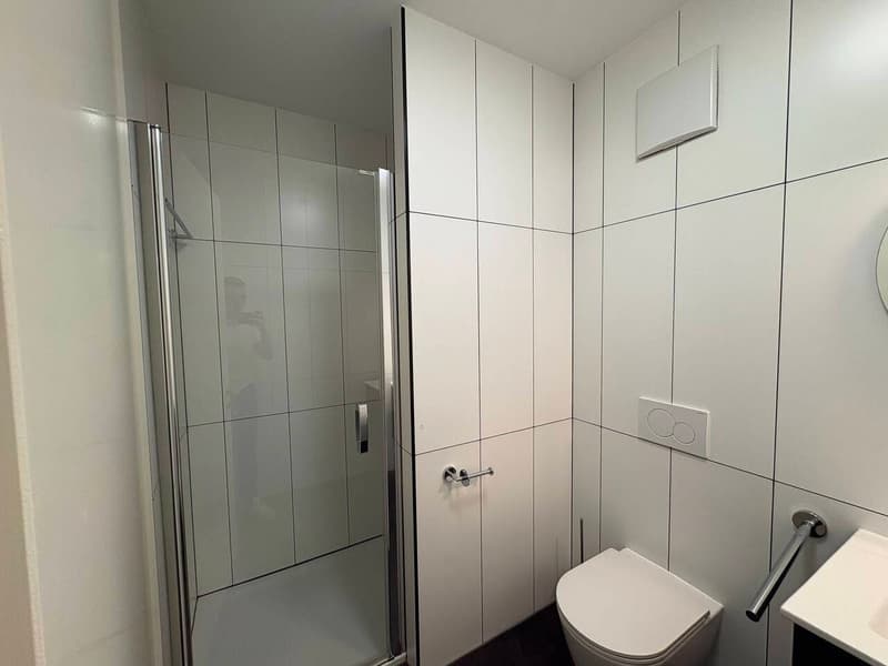 Appartement meublé de 3.5 pièces au 4ème étage (6)