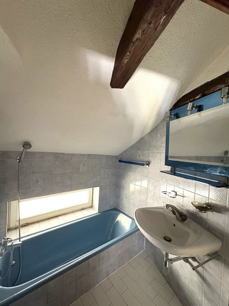 3.0 pièces de 55 m2 en duplex (5)