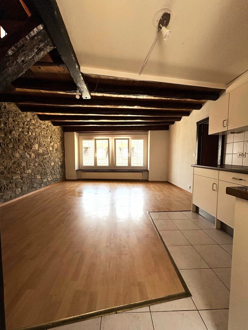 3.0 pièces de 55 m2 en duplex (1)