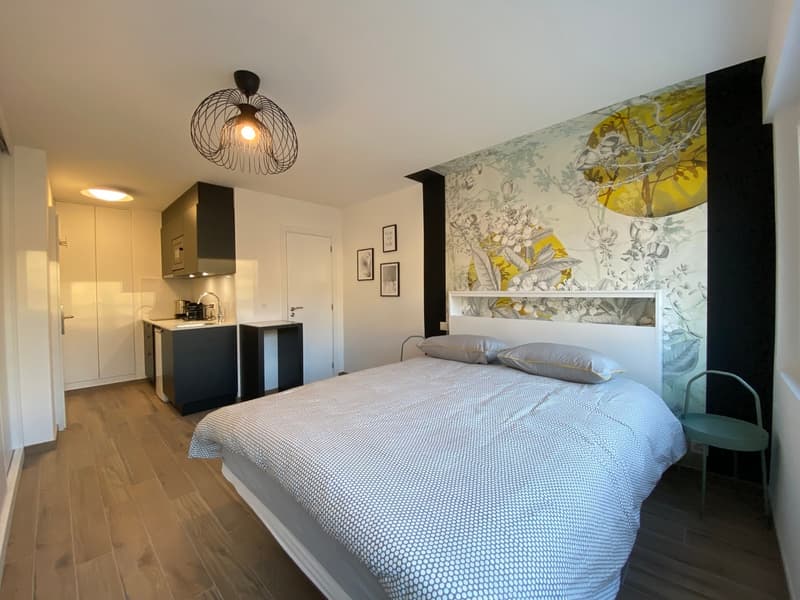 Lumineux studio meublé à deux pas de la gare (2)